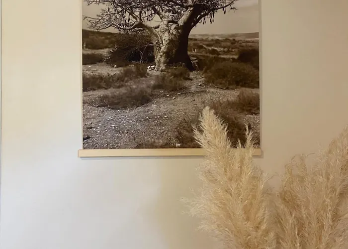 Séverine D’hôtes Bed & Breakfast 3*